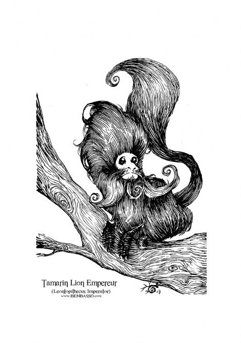 宋 l BenBASSO Ʒp